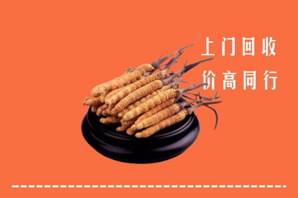 高价求购：南充西充回收散虫草