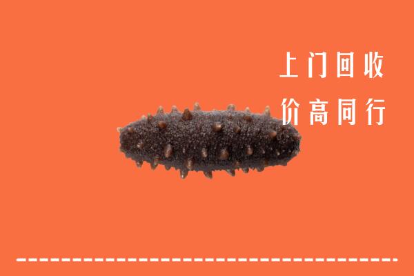 南充西充回收海参