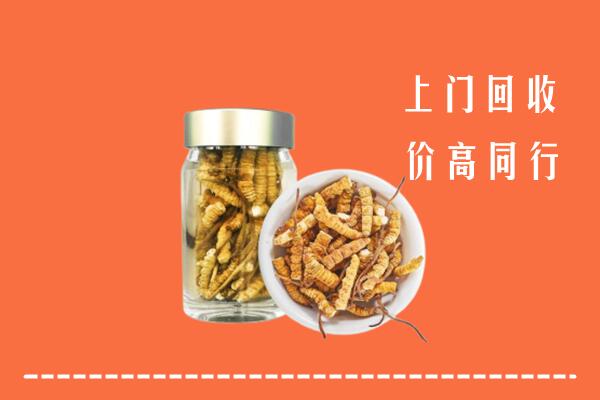 南充西充回收冬虫夏草