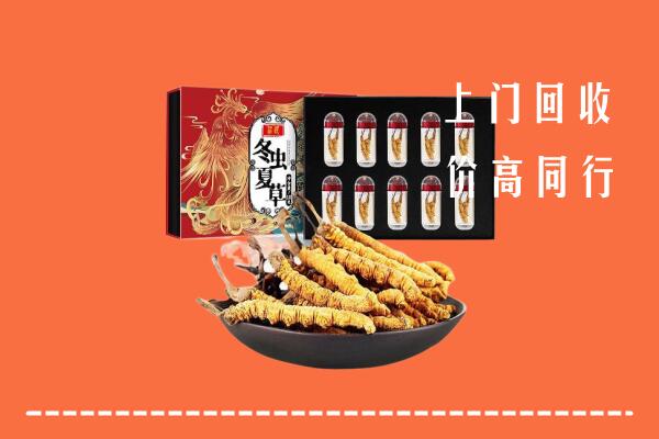 南充西充回收虫草